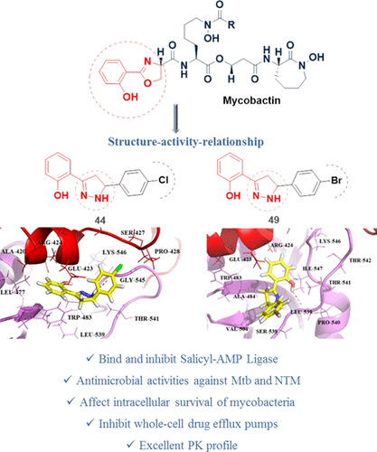 Mycobactin Analogues with Excellent Pharmacokinetic Profile Demonstrate Potent Antitubercular Specific Activity and Exceptional Efflux Pump Inhibition