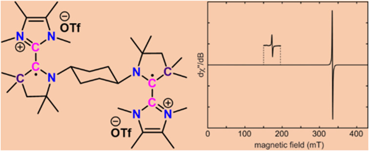A bis-NHC–CAAC dimer derived dicationic diradical