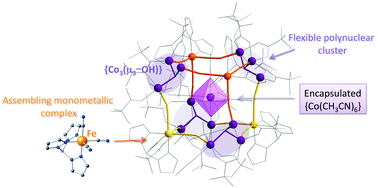 A cyanide and hydroxo-bridged nanocage: a new generation of coordination clusters