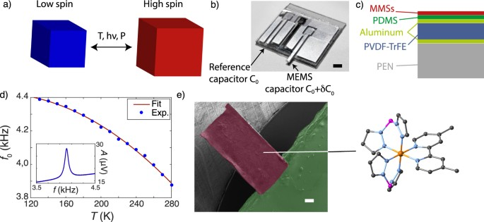 Molecule-based microelectro-mechanical sensors