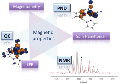 Probing the Local Magnetic Structure of the [FeIII(Tp)(CN)3]-Building Block Via Solid-State NMR Spectroscopy, Polarized Neutron Diffraction, and First-Principle Calculations